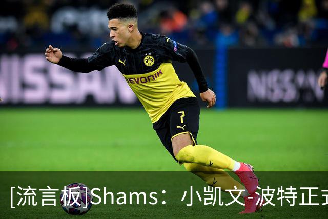 [流言板]Shams：小凯文-波特正式被密尔沃基雄鹿队裁掉
